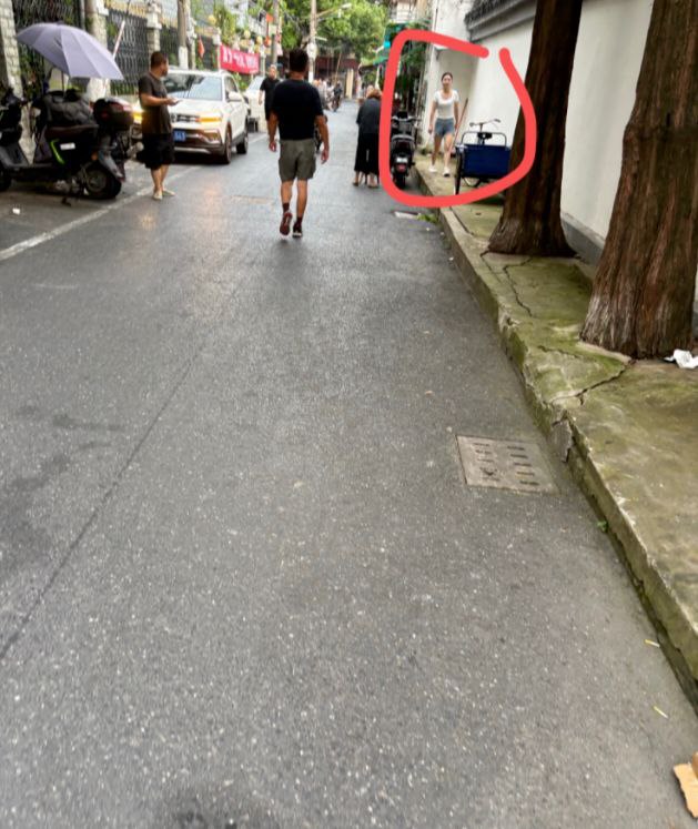 小狼自上次探北桥站街后今日下午